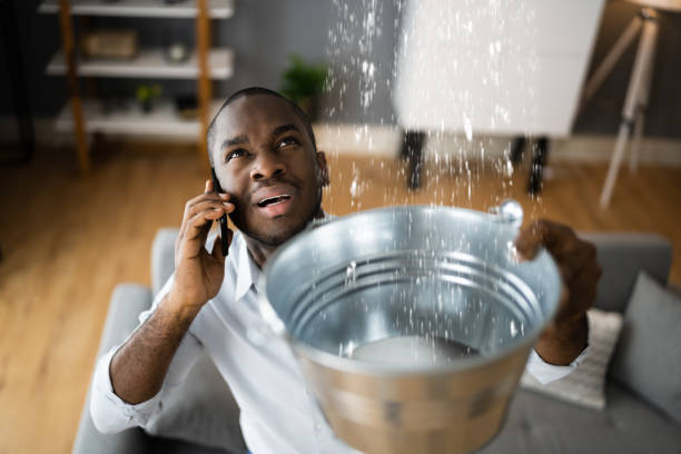 Best Residential water damage restoration  in Downers Grove, IL