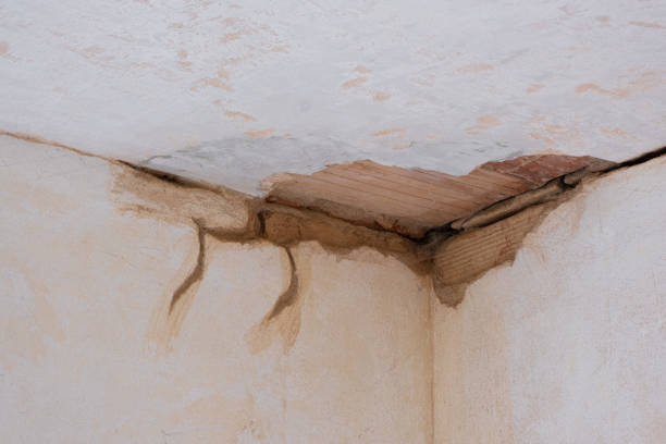 Best Commercial water damage restoration  in Downers Grove, IL